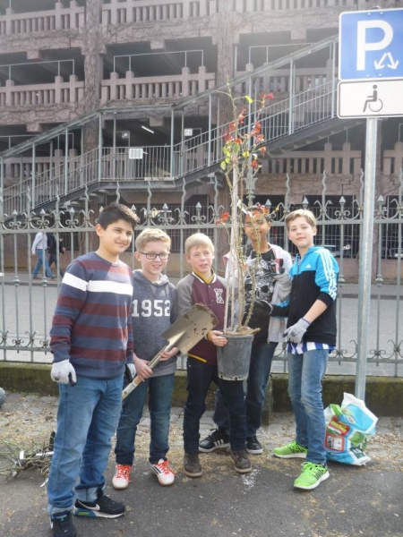 Otto Hahn Gymnasium Landau Sch Ler Der Klasse D Pflanzen